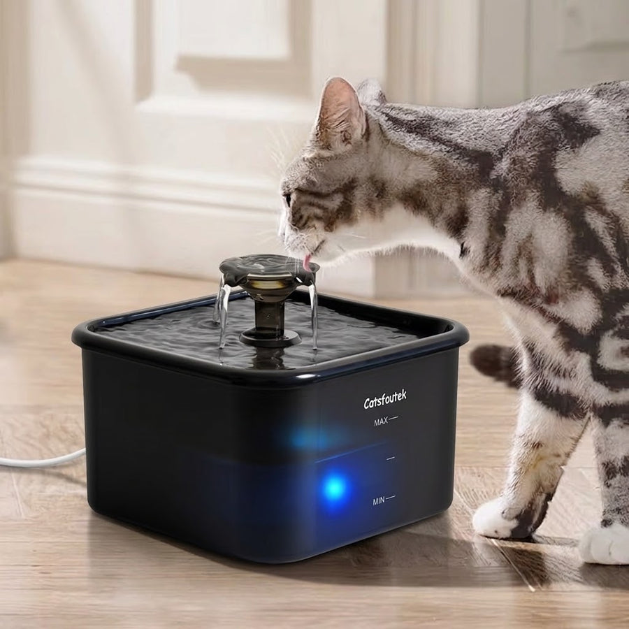 Automatisk Kattvattenfontän med 2.2L Utrymme